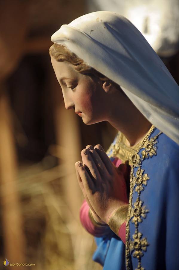 Nom de l'image : D30043153_1_(c)Norbert-JUNG — Description :